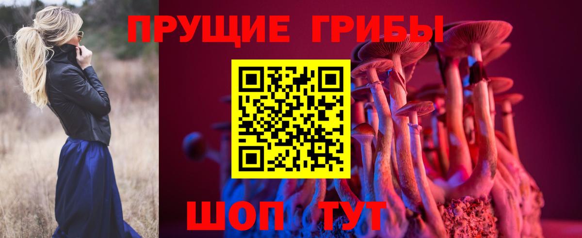 Галлюциногенные грибы Psilocybe  Вход с VPN  Псилоцибиновые грибы Magic Shrooms  Новокуйбышевск 